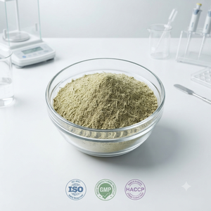 Premium Cissus Quadrangularis Powder Hadjod Powder Natural Herbal Cissus Quadrangularis <b>Stem</b> Powder for Bulk Supply - Product Image 4