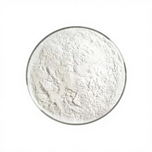 Papaína en Polvo Ultra Refinada, Enzima Premium para una Digestión Eficiente de Proteínas, Suavizante de Carne, Extracto Vegetal - Product Image 1