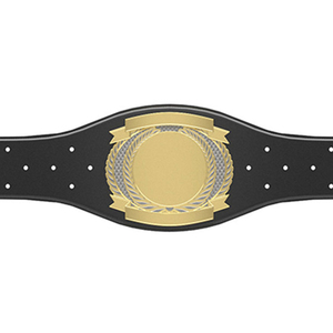 Ceinture de lutte durable, ceinture de musculation respirante et confortable, équipement de gym, ceintures en gros OEM - Product Image 3