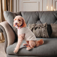 Pull-over de luxe élégant pour chien, modèle une pièce, pour l'hiver, couleur unie, disponible en 8 tailles, design personnalisé, idéal pour les fêtes