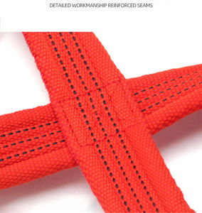 Sangle de levage réglable en coton (Figure 8) – Légère, antidérapante, avec fermeture à clip pour soulevé de terre, haltérophilie et entraînement de force - Product Image 4