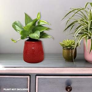 Maceta de cerámica para suculentas, hierbas y plantas de floración. Elegante maceta de cerámica para decoración moderna del hogar y jardín. - Product Image 6