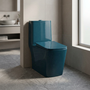 WC monobloc en céramique moderne du Gujarat avec abattant hydraulique et raccords, chasse d'eau double, pour usage extérieur - Product Image 6