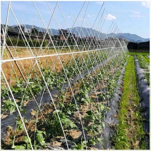 Glass Fiber <b>Rod</b> Fiberglass Plant Stake Grape Stakes - Product Image 6