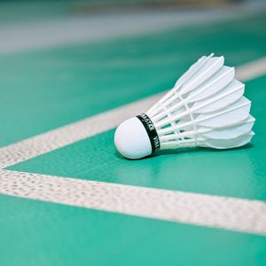 Vina-Star - Volantes de Bádminton Profesionales de Pluma de Ganso de 3 Capas, Pluma Recta, Nivel de Torneo, Alta Durabilidad - Product Image 6