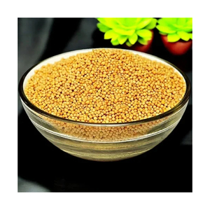 Graines de moutarde jaunes à prix réduit, qualité excellente, ingrédients naturels, graines pour applications alimentaires commerciales - Product Image 5