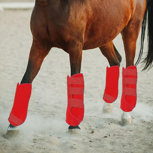 Bottes anti-mouches respirantes personnalisées à faible MOQ pour chevaux, protection intégrale des jambes, nouveau design 2026, service OEM, couleurs confortables, logo et marque personnalisés - Product Image 4