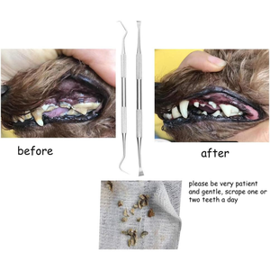 Herramientas Manuales para Limpieza Dental Canina, Removedor de Sarro, Raspador Dental Canino de Doble Cabeza, Acero Inoxidable Reutilizable, Certificado CE, Veterinario - Product Image 6