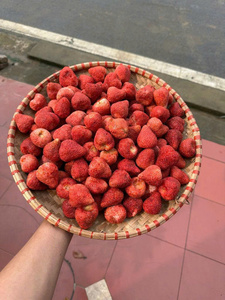 สตรอว์เบอร์รีอบแห้งจากเวียดนาม ผลไม้อบแห้งสำหรับตกแต่งเบเกอรี่ ของหวาน ชา และขนมขบเคี้ยว - Product Image 1