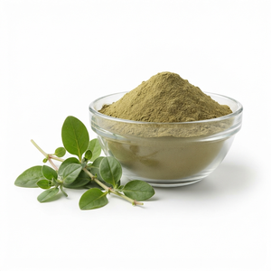 Fournisseur en gros d'extrait de Punarnava en poudre, fabricant d'extraits de plantes médicinales, exportateur en vrac - Product Image 1