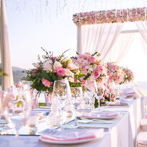 Juego de Cubiertos Desechables CPLA/PLA, Estilo Simple, Ecológicos, Biodegradables, Resistentes al Agua, Libres de BPA, para Fiestas - Product Image 2