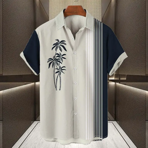 Camisa Hawaiana de Verano para Hombre, Conjunto de Playa para Hombre, Atuendo para Vacaciones - Product Image 2
