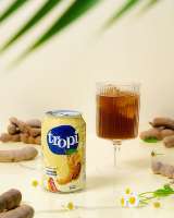 Halal HACCP gecertificeerde fruitigere frisdrank 330ml blik Beste prijs OEM Gratis monsters Aanpasbaar 10 smaken 100% vruchtensap