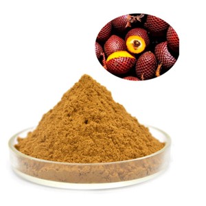 Poudre d'Aguaje 100% pure de marque privée, qualité alimentaire supérieure, poudre de fruit de Mauritia flexuosa pour smoothies et mélanges de boissons santé - Product Image 1