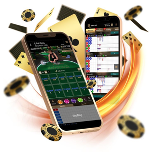 Solutions de développement de jeux de casino multijoueurs haut de gamme pour machines à sous à génération de nombres aléatoires (RNG), jeux de poker en ligne et plateformes de paris numériques - Product Image 2
