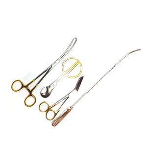 Juego de Instrumentos Ginecológicos de Acero Inoxidable de Color Sólido de Marca Privada, Recién Llegado, por Dentavex - Product Image 3