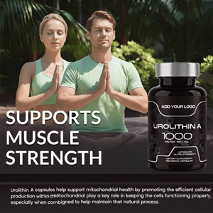 Cápsulas de Shilajit 100% Puro – Cápsulas de Extracto Herbal para Distribución a Granel - Product Image 3