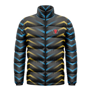 Veste matelassée d'extérieur pour homme de haute qualité, légère, coupe-vent, résistante à l'eau, doublure en coton écologique, fermeture éclair, nouveau design - Product Image 2