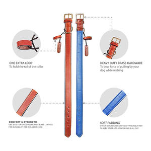 Collar de Cuero Ligero de Lujo para Perro, Diseño Personalizado de Alta Calidad con Logotipo y Color Único, Superventas - Product Image 5