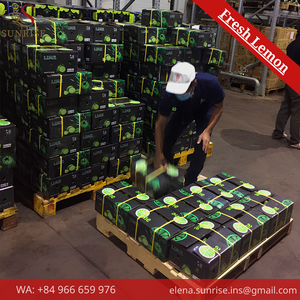 มะนาวเขียวสด หั่นครึ่ง คุณภาพพรีเมียม ปลูกแบบธรรมชาติ ยี่ห้อ FRESH LEMON ขนาด 16-20 ซม. น้ำหนัก 10 กก. (คุณเอเลน่า - (+84) 966 659) - Product Image 6