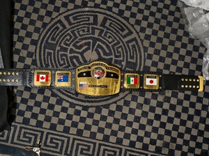Ceinture de champion du monde poids lourd NWA en laiton avec plaques de 2 mm et drapeaux personnalisés - Product Image 6