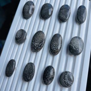 Hermoso Coral Fósil Negro 100% Natural, Cabujón de Piedra Preciosa Suelta, Excelente Accesorio de Joyería para la Fabricación de Colgantes y Anillos - Product Image 2