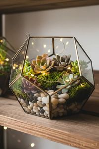 Terrario de Metal y Vidrio Personalizado en Forma de Cabaña, Macetero Moderno de Vidrio para Plantas de Interior, Suculentas, Plantas Aéreas y Terrarios DIY - Product Image 6