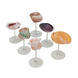Colección de Copas de Conchas Marinas Mixtas Hechas a Mano en Vietnam, Fabricadas con Conchas Marinas Naturales para Decoración del Hogar y Venta al por Mayor de Regalos - Product Image 1