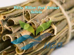 Extrait de peau de saule blanc pur naturel de qualité alimentaire, fourni directement par l'usine HGO, extrait standardisé à 75 % de salicine - Product Image 3