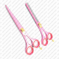 Ensemble de ciseaux de coiffure professionnels 2 pièces, ciseaux de coupe de cheveux pour salon de coiffure, ciseaux en acier inoxydable, instrument chirurgical