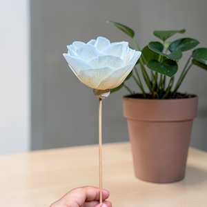 ดอกไม้ไม้โซล่า VADEE SOLA WOOD FLOWER ทำมือ งานฝีมือแบบยั่งยืน ดอกไม้ไม้โซล่าสีงาช้างสไตล์วินเทจ ขนาด 8.5 ซม. ก้านทำจากเส้นใยพืชเซสบานีอา - Product Image 3