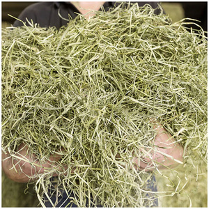 Heno de Timothy de primera calidad para alimentación animal, heno de alfalfa/timothy/alfalfa en venta - Product Image 1