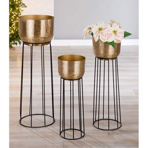 Maceta decorativa de hierro con acabado rústico, perfecta para exhibir plantas en la sala de estar, patio, jardín y oficina. - Product Image 3