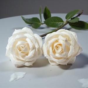 Flor de Sola de Madera de Marfil Elegante y Sostenible Hecha a Mano, 8.5 CM, con Varilla de Fibra Vegetal de Sesbania - Product Image 5