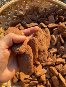 Hot bán Pine Bark tiền phạt cho phong lan phát triển & bầu hỗn hợp hỗn hợp, tăng cường đất thoát nước và thúc đẩy Superior gốc sục khí. - Product Image 5