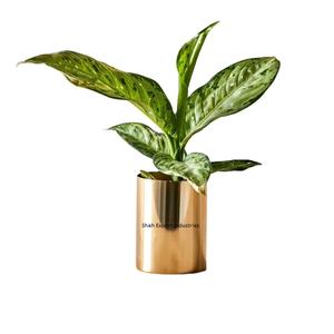 Artesanías Florero de metal Florero Forma de cilindro Florero floral en color dorado para el hogar Sala de estar Oficina Decoraciones de mesa - Product Image 2