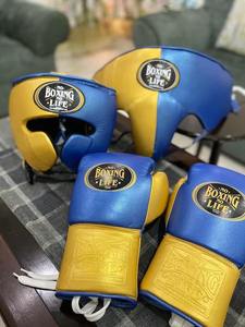 Professional Customisable Brand New Premium Quality Real Leather No Boxing No Life Boxing Set Martial Art Boxing Training Set. - Product Image 6