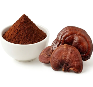 Poudre de Ganoderma Lucidum Biologique en Gros, Champignon Reishi, Superaliment, Antioxydant Naturel et Complément Herbal Stimulant l'Immunité - Product Image 3