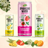 HALAL gecertificeerde Elderflower Aardbei Frisdrank Sprankelende Drank 320ml blik Gezonde RTD Drank voor Export Bulk Levering Beschikbaar