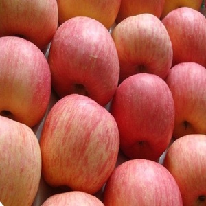 Pommes rouges de qualité supérieure, approvisionnement en vrac, vente en gros, directement de l'usine, tailles 80mm, 85mm, 90mm, export - Product Image 4