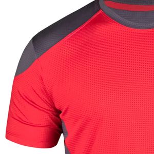 Camiseta de Hombre con Logotipo Personalizado, 100% Algodón, Manga Corta, Cuello Redondo, Informal, Fabricante de Ropa al por Mayor, OEM, ODM, Marca Privada - Product Image 3