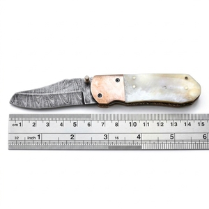 Cuchillo Plegable de Acero Inoxidable con Hoja Recta de 15 cm, Mango de Madera y Perilla de Pulgar, Herramienta para Exteriores OEM - Product Image 1