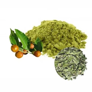Poudre de Qasil 100% naturelle, moutonnée finement, qualité alimentaire, poudre d'herbes, fabricant de marque privée, fournisseur en gros d'Inde - Product Image 3