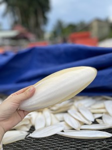 Farine d'os de seiche naturelle pour oiseaux |   Aliments secs pour animaux, volailles et bétail |   Marque VietDelta Durée de conservation de 3 ans 13% d'humidité - Product Image 3