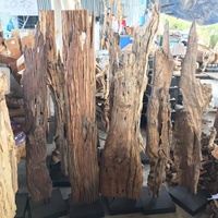 Sculpture d'art décorative en bois flotté naturel rustique pour comptoir, Noël et remise de diplôme