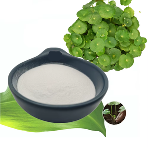 Extracto de Centella Asiática Premium, Ingrediente Cosmético, Polvo Activo de Centella Asiática, Venta al por Mayor, Proveedor de Calidad de Exportación - Product Image 3