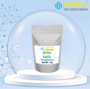 Poudre de Bacillus Subtilis, Poudre de Probiotiques Bacillus Subtilis, Qualité Alimentaire - Product Image 3