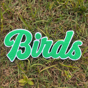 Parche Bordado de Chenilla de los Philadelphia Eagles para el Día del Partido de Fútbol Americano, Parches Termoadhesivos para Ropa - Product Image 4