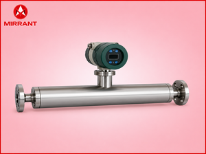 Oferta Especial en Controlador de Flujo Másico Digital Inteligente Mass Flow 2100 para Medición y Control Preciso del Flujo de Gas, Disponible para la Venta - Product Image 2