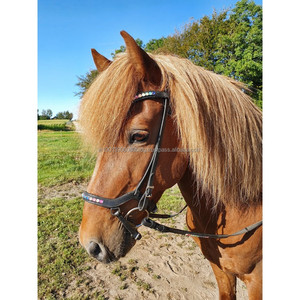 Brida Anatómica Decorativa de Lujo para Caballo, Acolchada en Cuero, Personalizable, para Carreras Ecuestres y Equitación - Product Image 2